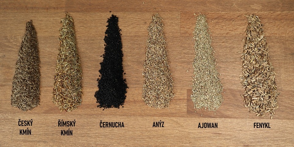 Různé druhy kmínů: český, římsky, černucha, anýz, fenykl, ajowan