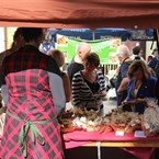 Zažijte Nusle jinak