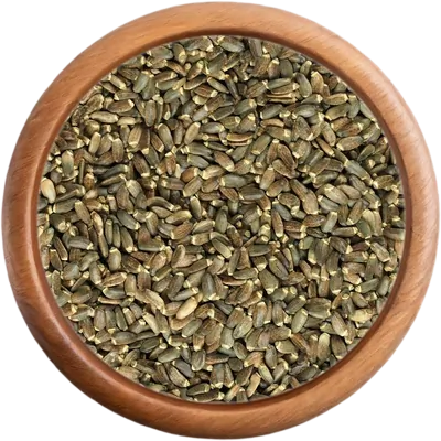 Ostropestřec mariánský plod