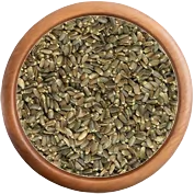 Bylinka: Ostropestřec plod