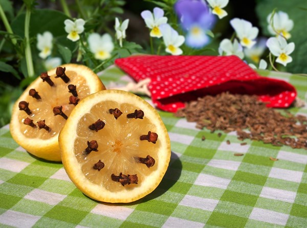 Přírodní repelenty z koření