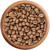 Káva Arabica: Laos Bolaven Plateau