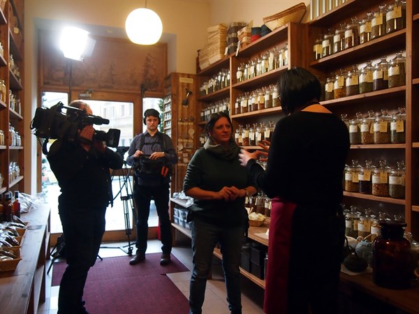 Povídání o bylinkách