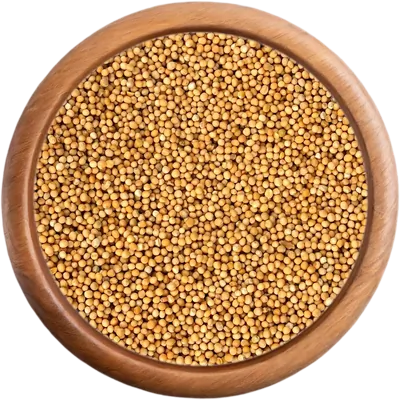 bio koření Hořčice bílá celá BIO