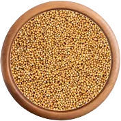 koření: Hořčice bílá celá BIO