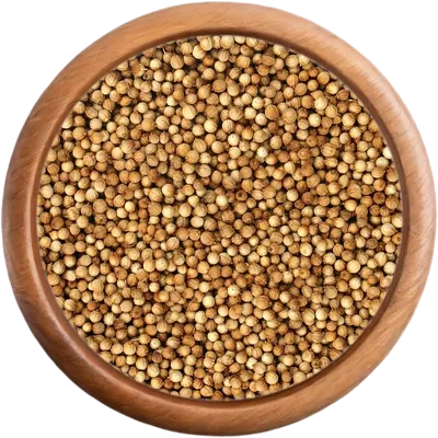 bio koření Koriandr celý BIO