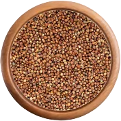 koření: Pepř guinejský - rajská zrna