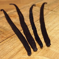 koření: Vanilka lusk Bourbon Uganda