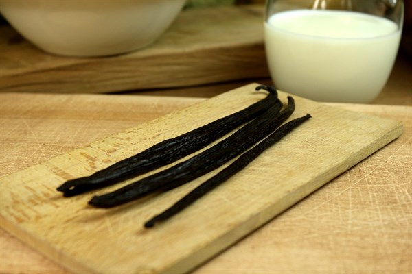 Domácí vanilková zmrzlina