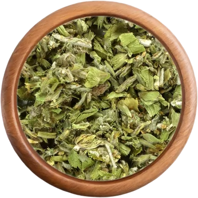 Bylinka Řecký horský čaj