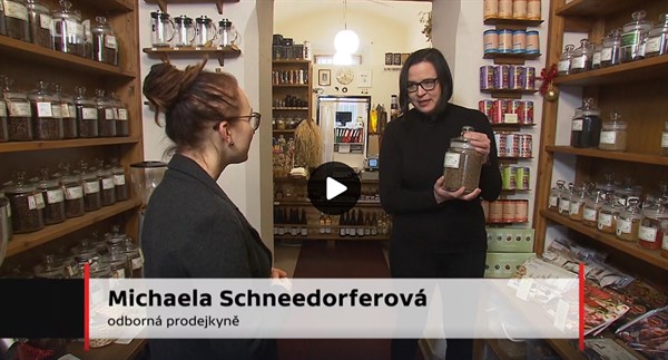 Testování českého kmínu