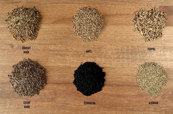 Jaké jsou druhy kmínu?