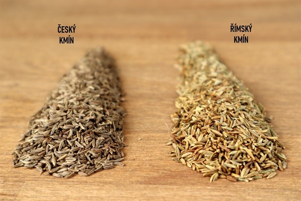Jaký je rozdíl mezi českým a římským kmínem?