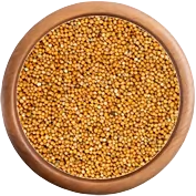 koření: Hořčice bílá celá