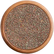 koření: Hořčice černá celá