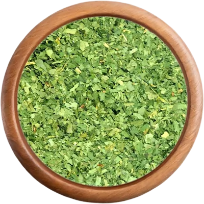 koření Medvědí česnek