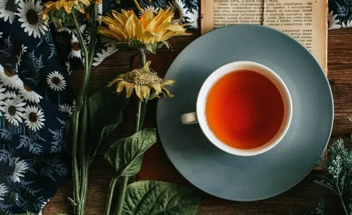 Vybírejte z nejlepší nabídky rooibosů